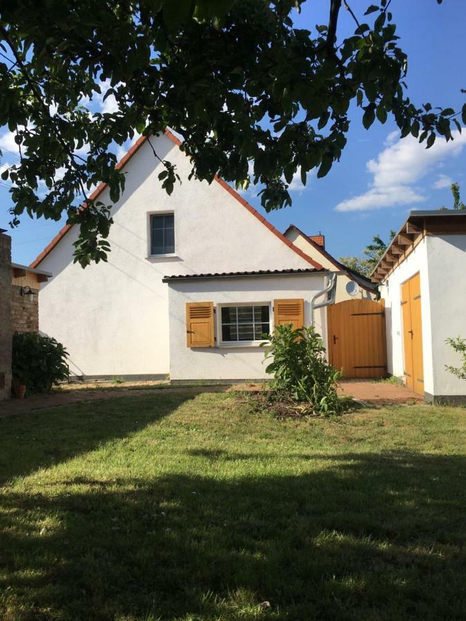 Ferienidyll-Reitwein Villa Exterior photo